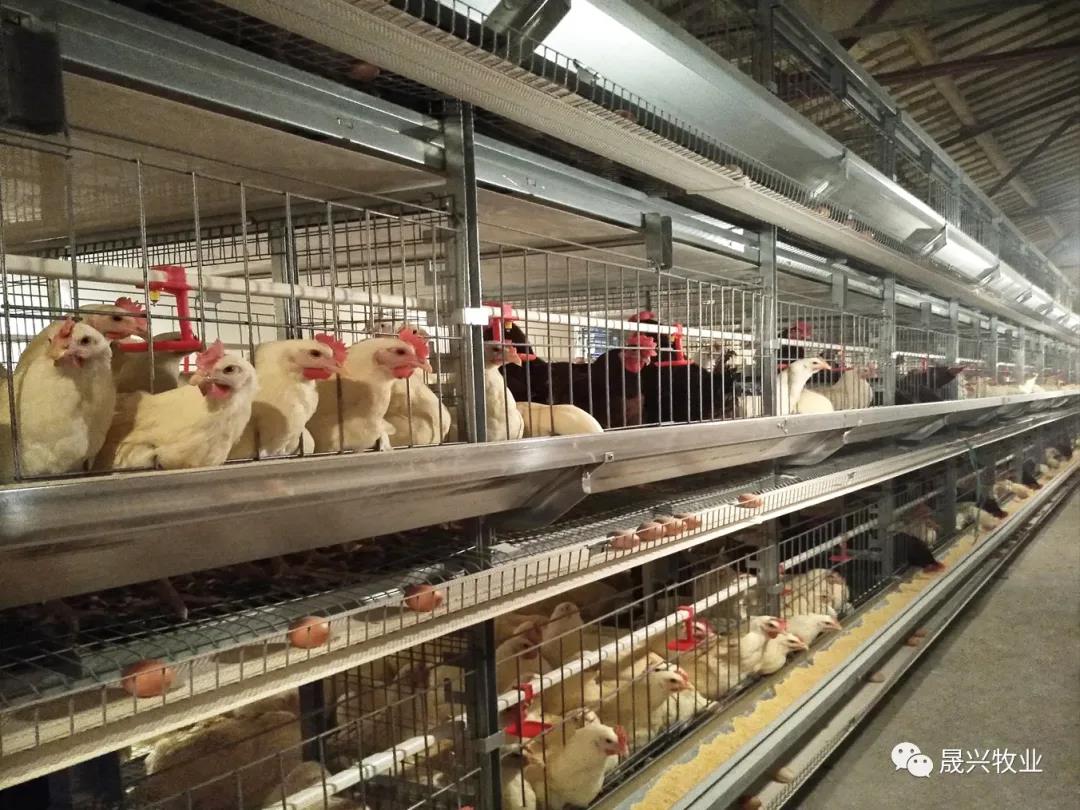 88858cc永利官网·(中国)官方网站