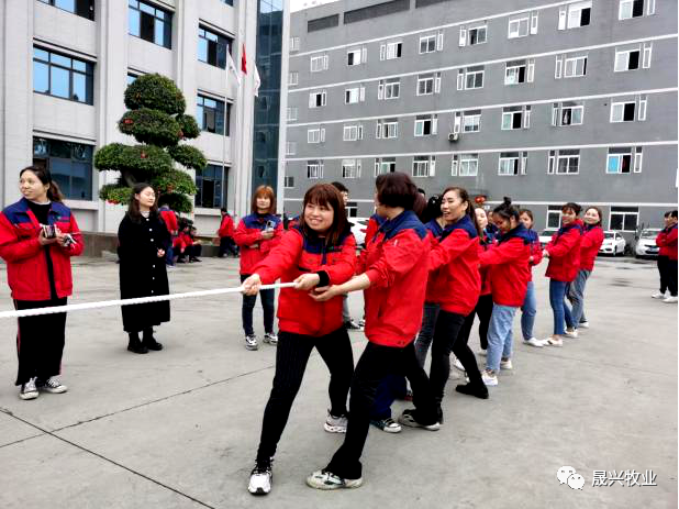 88858cc永利官网·(中国)官方网站