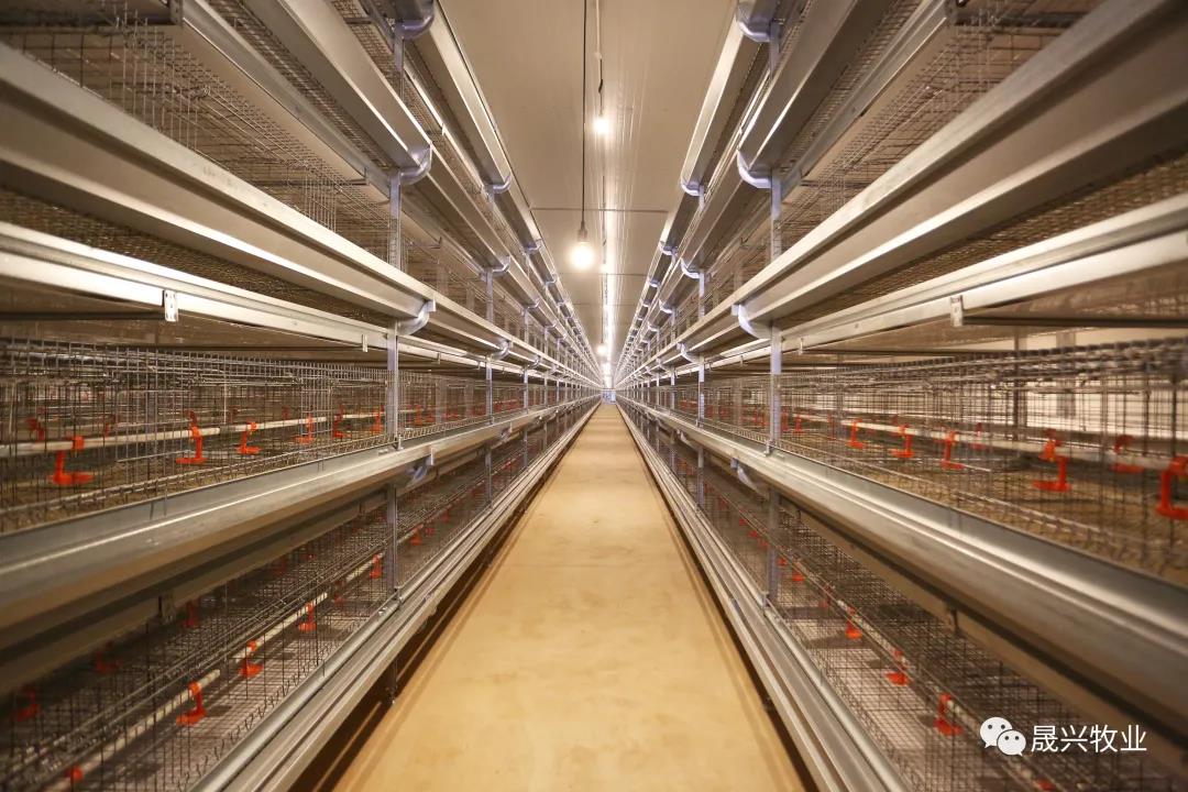 88858cc永利官网·(中国)官方网站