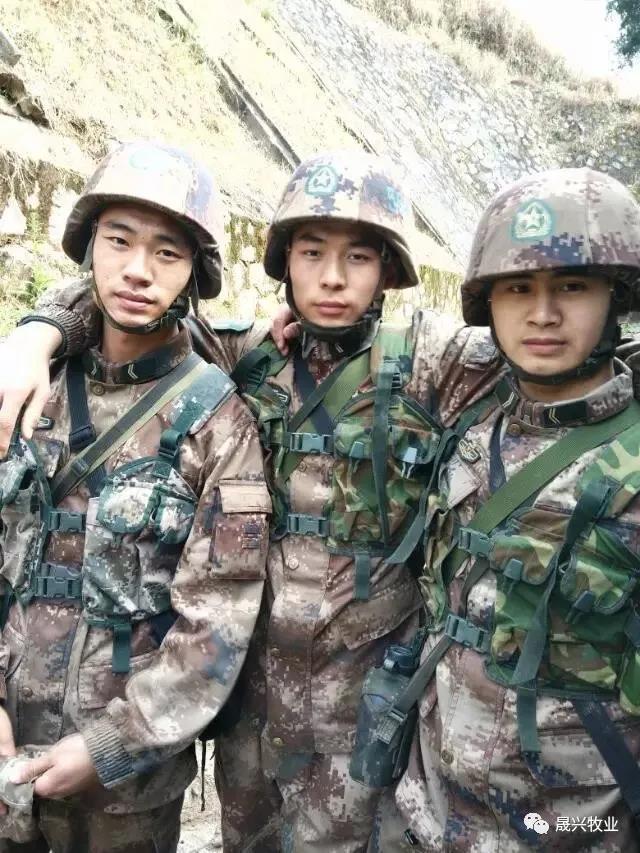 88858cc永利官网·(中国)官方网站