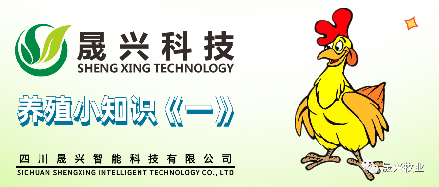 88858cc永利官网·(中国)官方网站