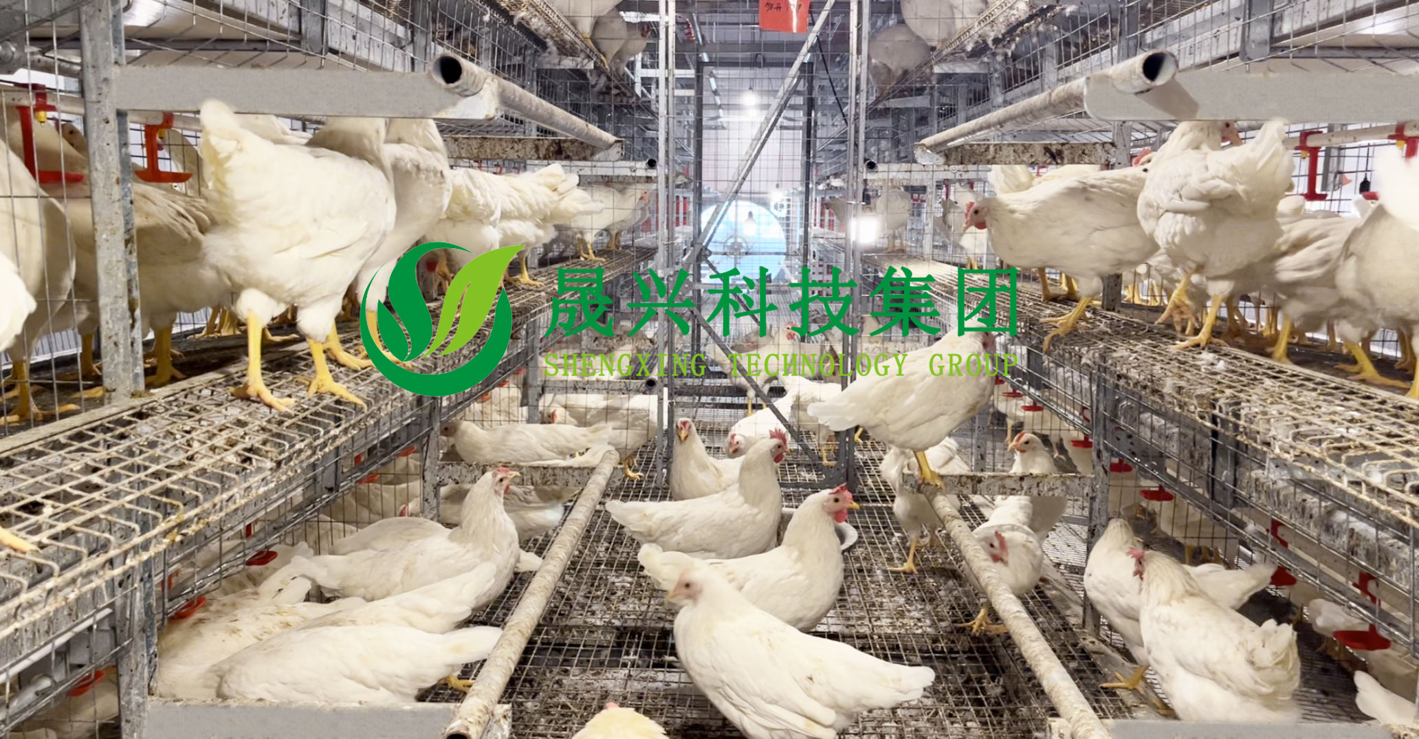 88858cc永利官网·(中国)官方网站