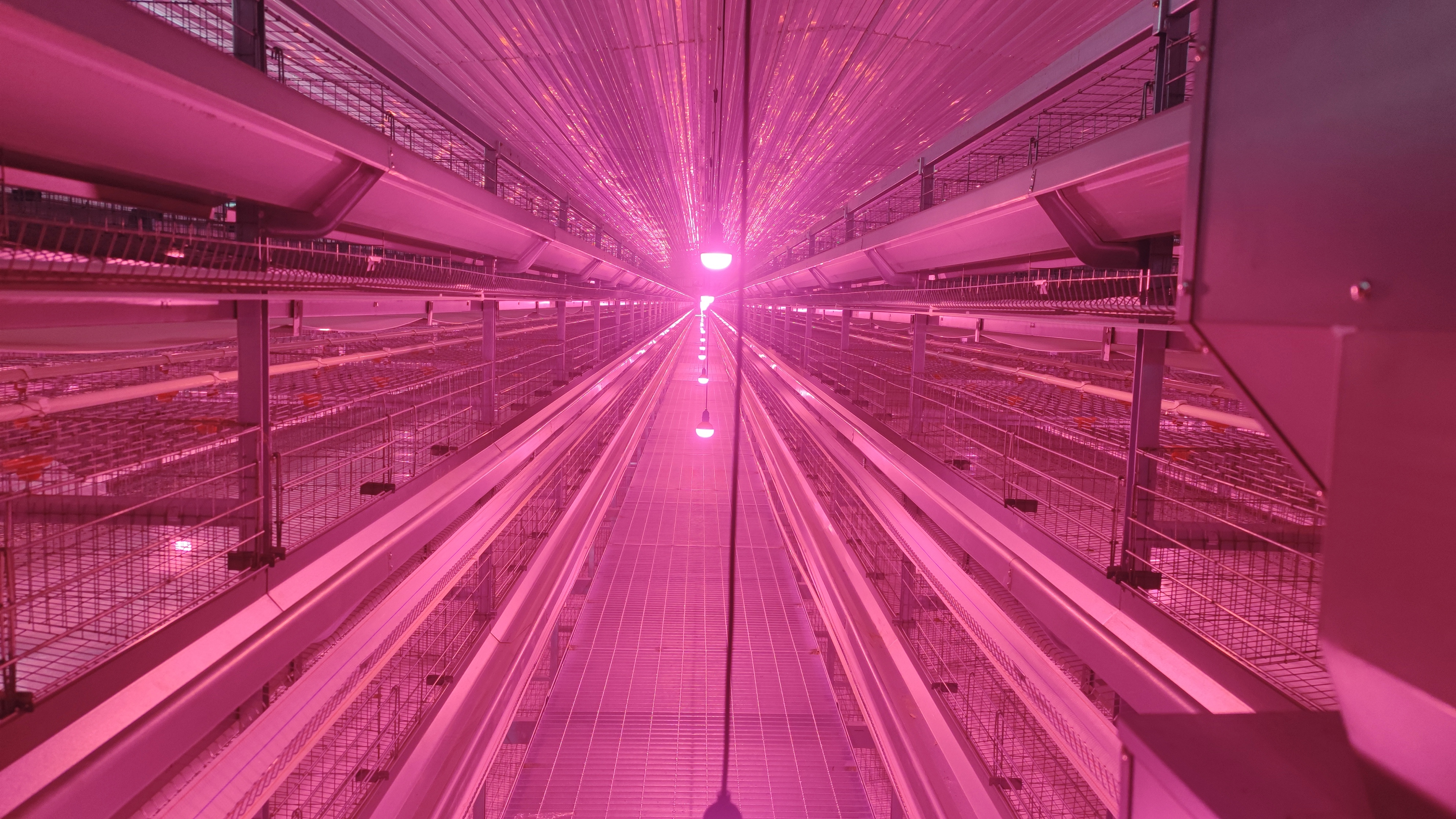 88858cc永利官网·(中国)官方网站