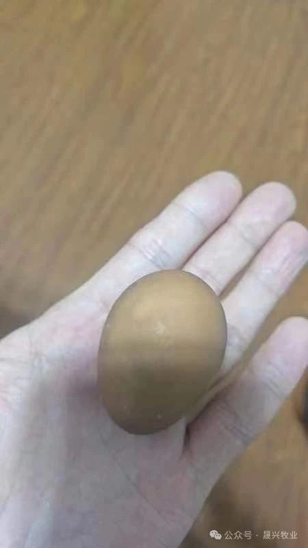 88858cc永利官网·(中国)官方网站