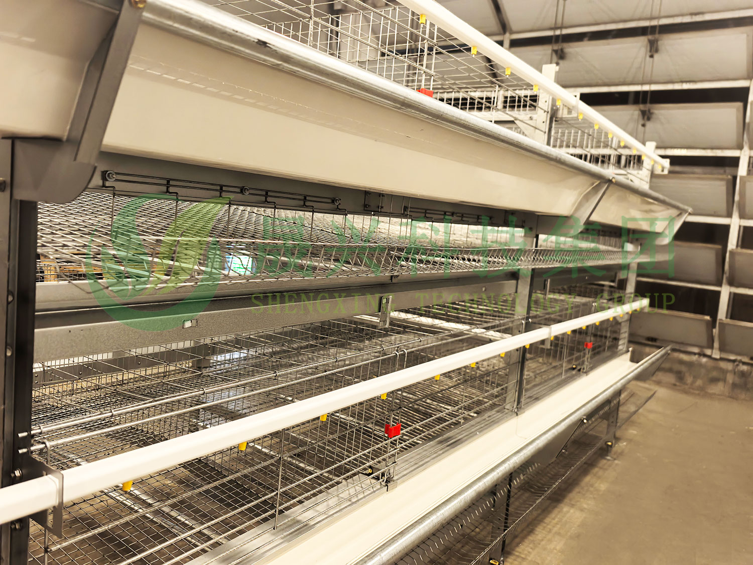 笼养鸭设备