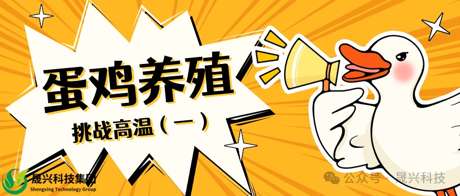 88858cc永利官网·(中国)官方网站