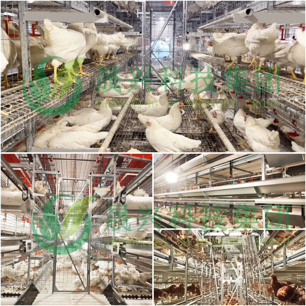 88858cc永利官网·(中国)官方网站